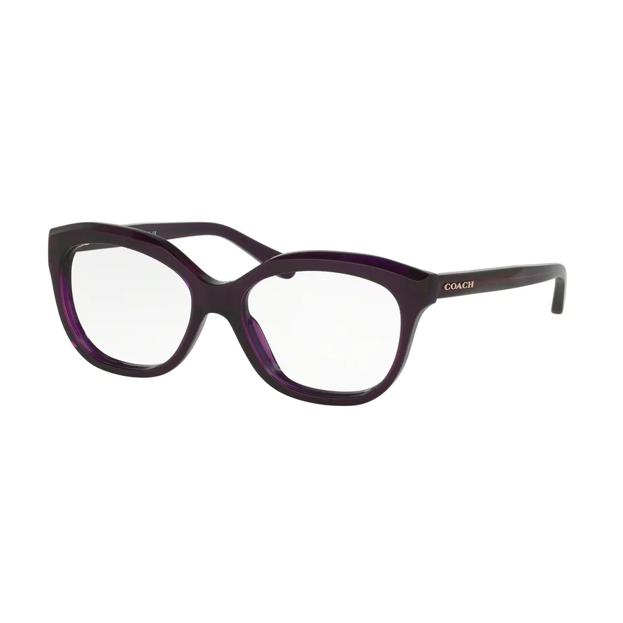 HC6096F 5249