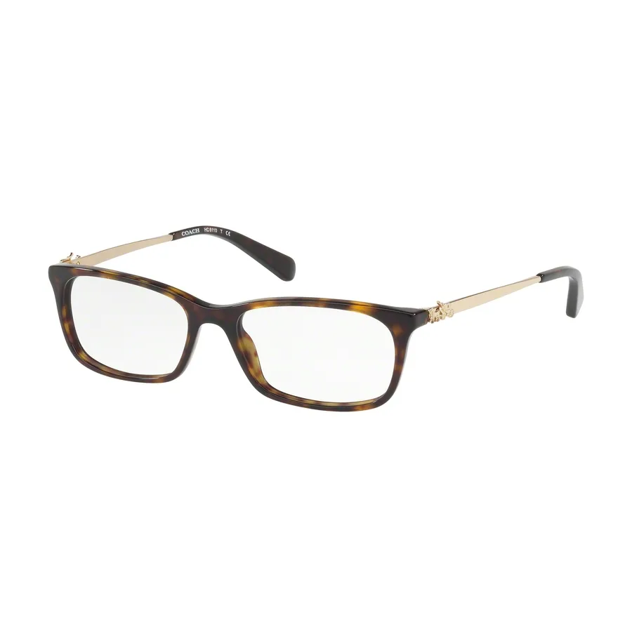 HC6110F 5485