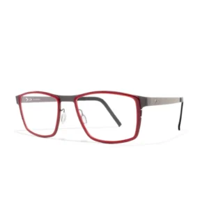 BLACK FIN BF804 C733 JEDWAY [GREY/BORDEAUX]