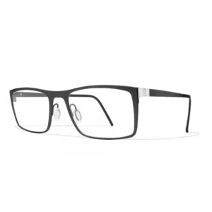 BLACKFIN 816 C765 WALDPORT [GRAY/SILVER]
